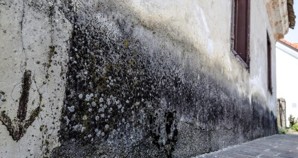 Comment enlever l'humidité des murs extérieurs ?