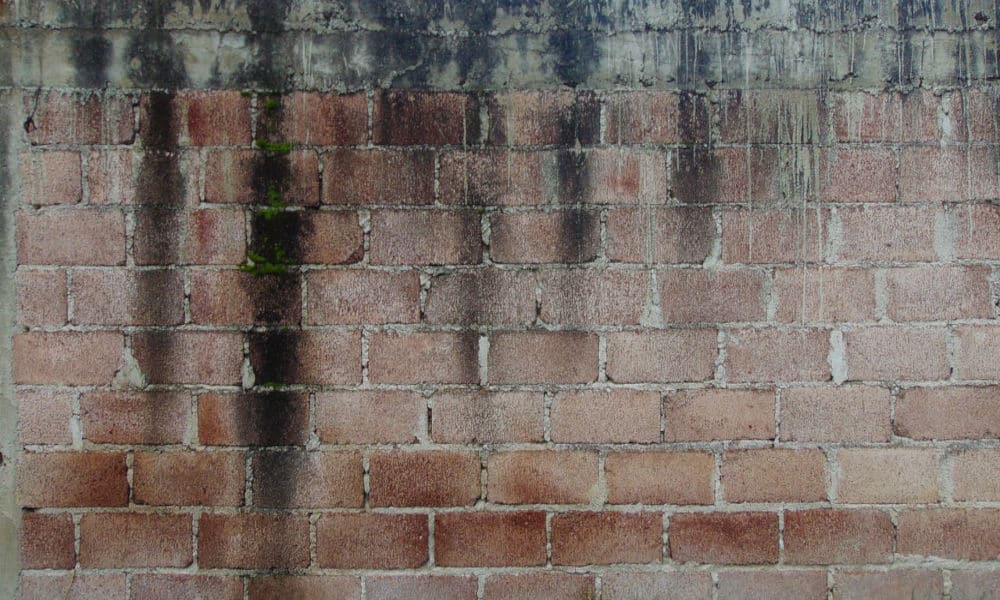 mur en brique humide